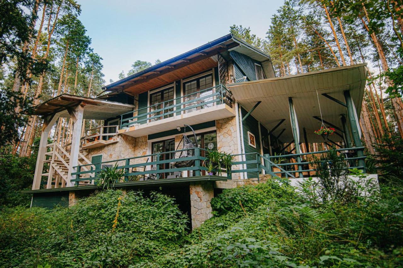 Zacisze Lesne Nad Pilica Bed & Breakfast สปาวา ภายนอก รูปภาพ