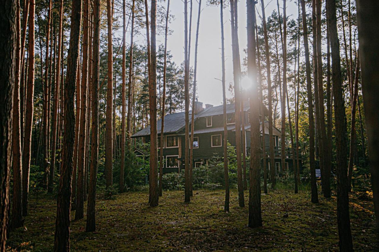 Zacisze Lesne Nad Pilica Bed & Breakfast สปาวา ภายนอก รูปภาพ