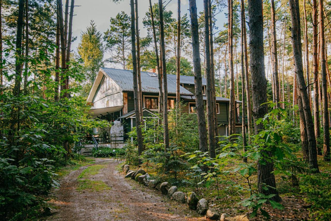 Zacisze Lesne Nad Pilica Bed & Breakfast สปาวา ภายนอก รูปภาพ