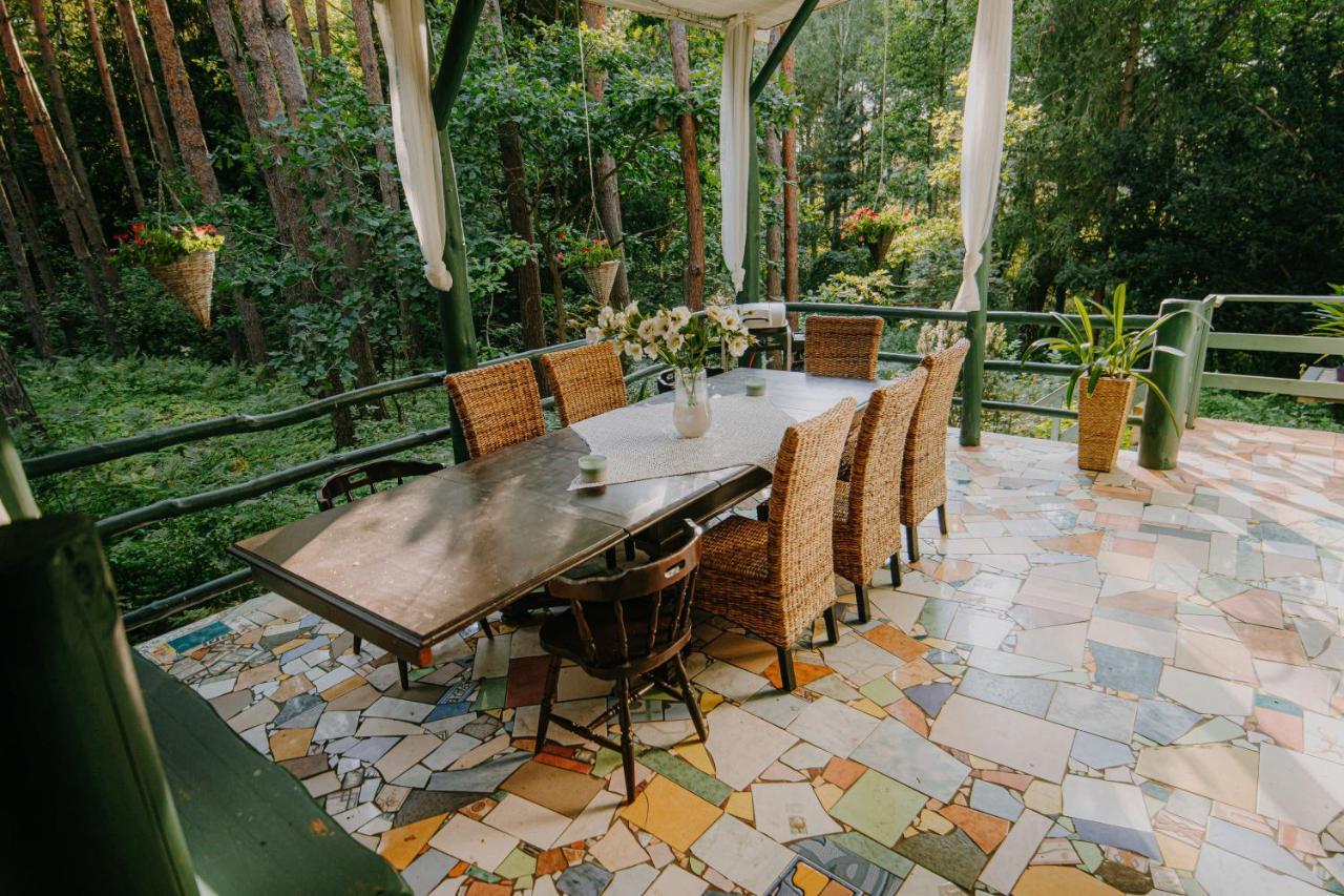 Zacisze Lesne Nad Pilica Bed & Breakfast สปาวา ภายนอก รูปภาพ